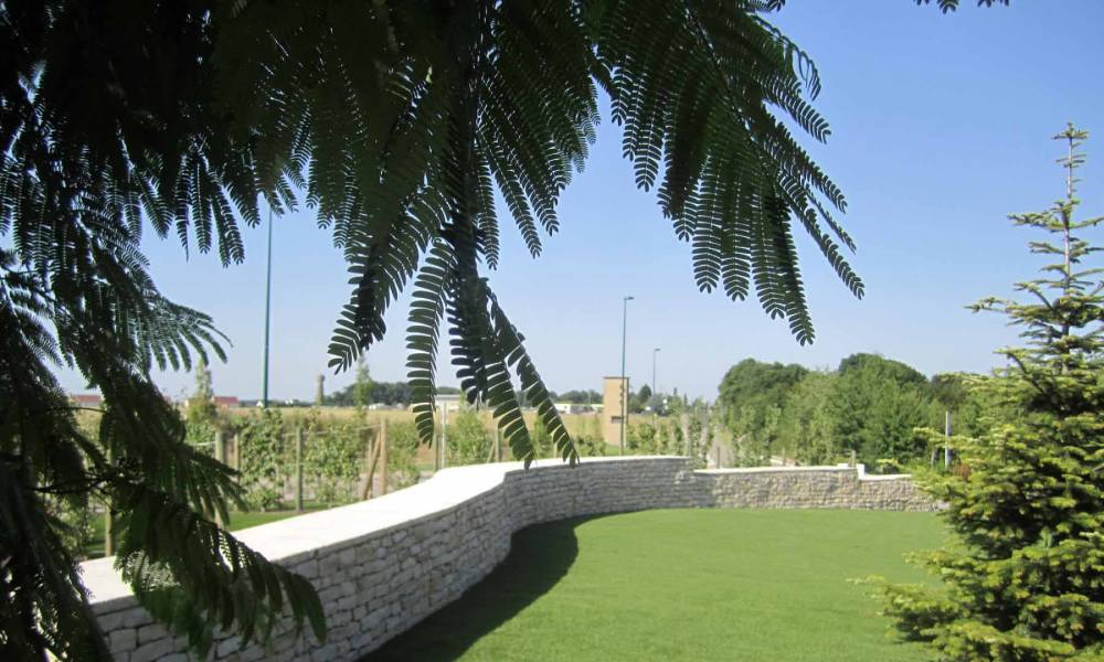 Plantation arbre