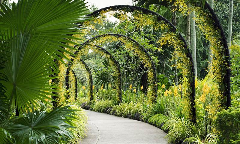 Aménagement de jardin