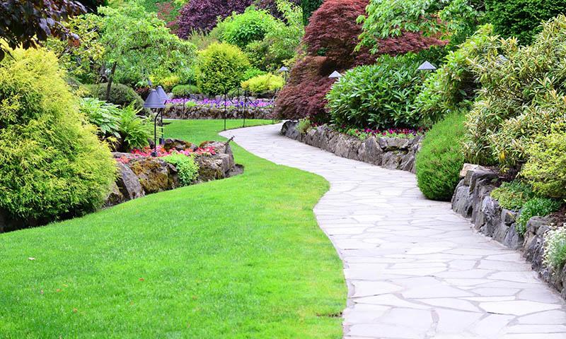 création jardin